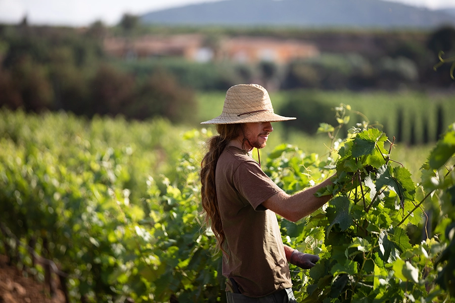 Biodiversité à Figuière