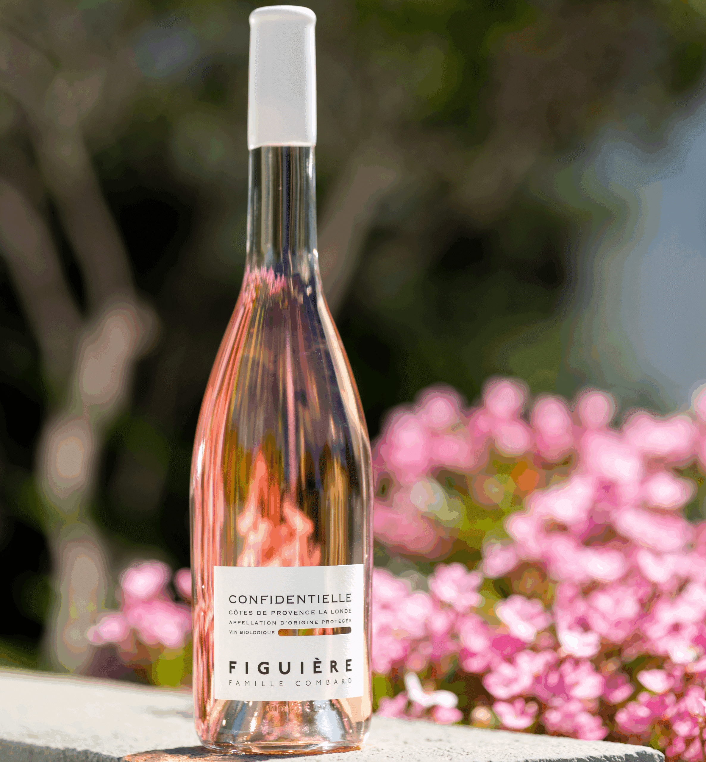 mise en scène conf rosé