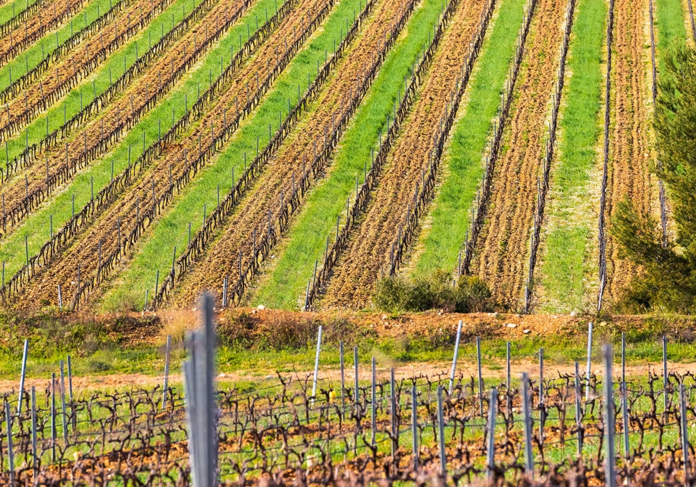 Enherbement biodiversité