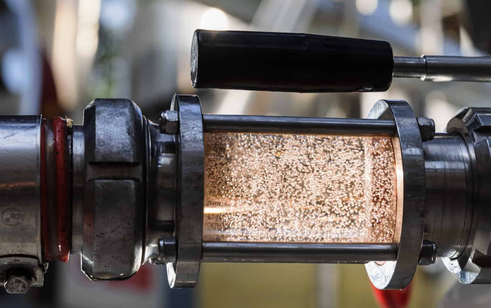 millésime 2024 dans les tuyaux