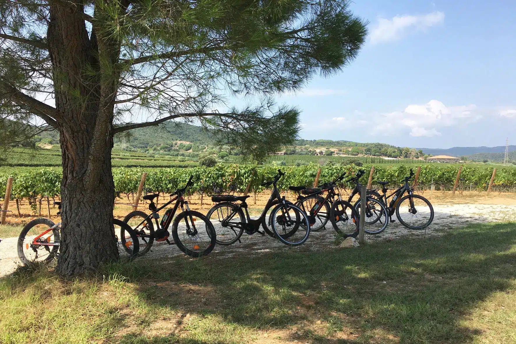 Velo-vtt-figuiere-balade